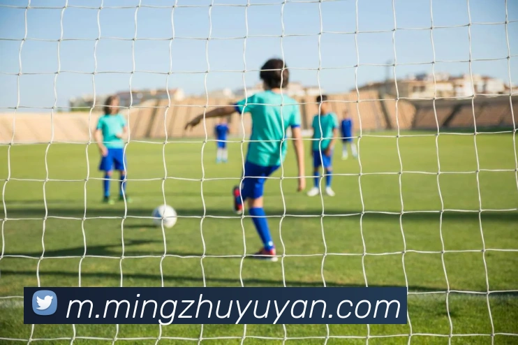 App Interface Preview