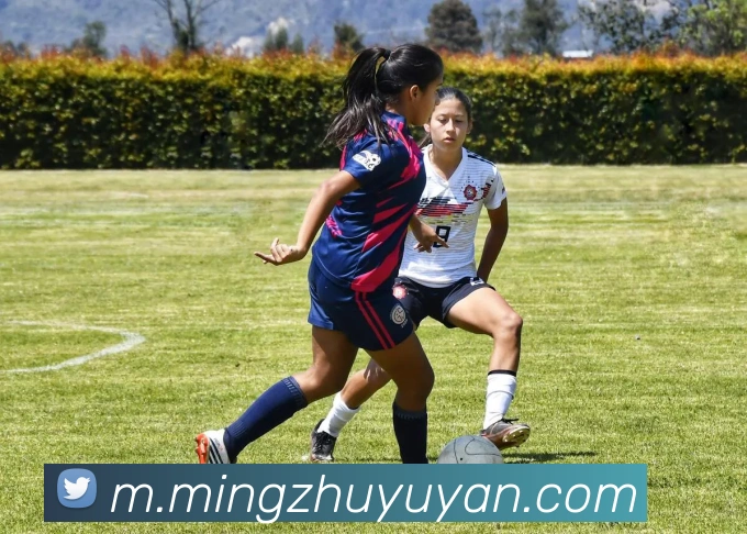 开云体育，开云kaiyun（中国）APP 封面图