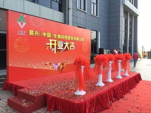 礼仪庆典活动策划 从开业到周年，一站式专业服务指南